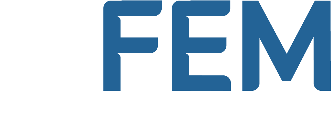 FEM